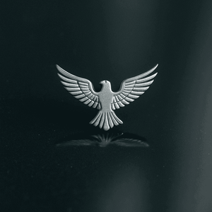 Silver eagle brooch for men – premium winged bird lapel pin with reflection