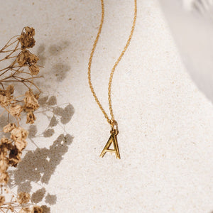 Ankx.in gold Initial Letter Necklace Alphabet pendant on a delicate chain with dried flowers background