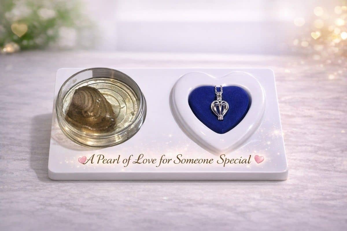 wish pearl necklace gift set with heart pendant and oysterA
