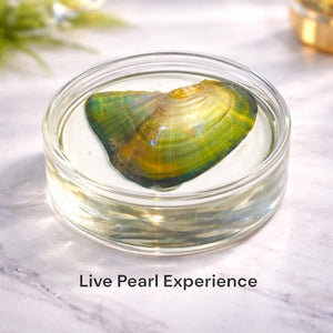 live pearl oyster experience wish pearl necklace gift